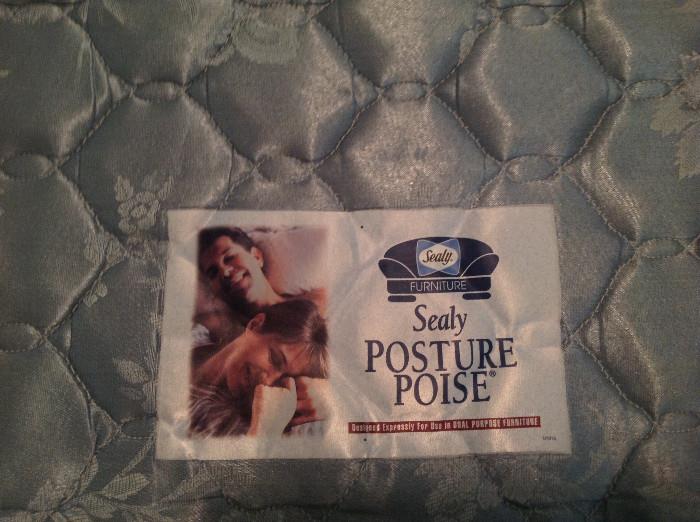 #130  Ellis Home Furnishings Clean Sleeper ( Serta Posture Poise Mattress) W72xD37xH38  $125