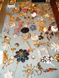 Costume Jewelry pins