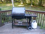Weber gas bbq grill