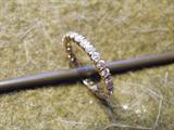 Beautiful 1920's wedding band/eternity band, diamonds all around set in yellow gold.