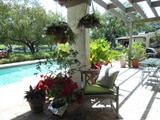 For the plant lovers....pots with live plants of varying sizes