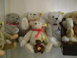 Steiff Bears