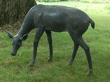 Life Size Bronze Deer