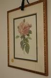 FRAMED BOTANICAL PRINTS
