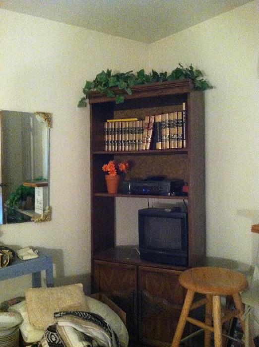 Better view of bookshelf with cabinet below.