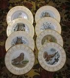 Edward Marshall Boehm owl plate collection; English Bone China.