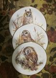 Royal Grafton, England owl plates