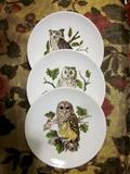 House of Goebel, Bavaria, West Germany owl plates.