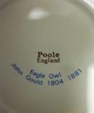 John Gould (owls with chicks), Poole - England.