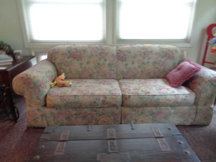 sleeper sofa