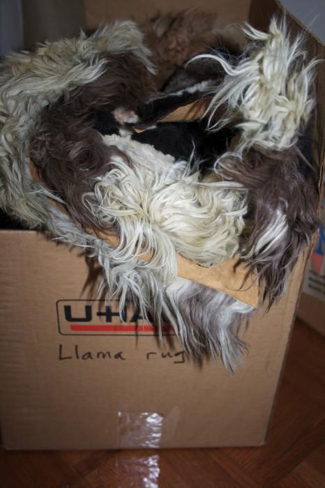 Llama rug (needs repair)