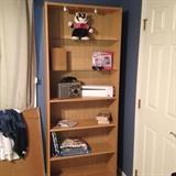 Great lighted shelving,  a Grundig S350 am/fm shortwave radio and a Terk powered antena