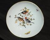 Meissen Porcelain Ornithological Sauce Dish, circa 1760
