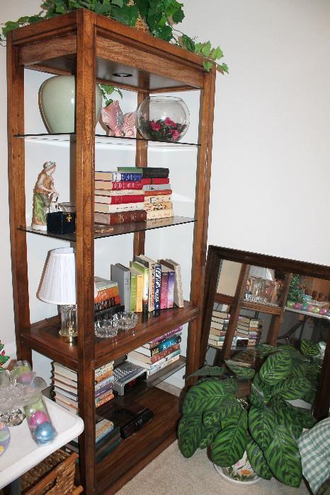 Nice wood / glass lighted shelving unit, books, and home decor