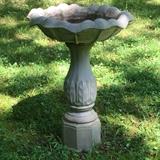 Tallest backyard bird bath