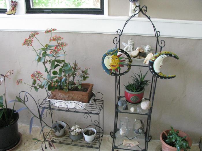 Plant stands, decorative items, and plants.