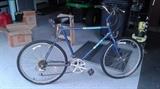 Schwinn Bicycle