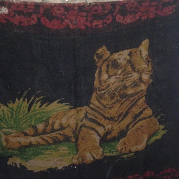 Image on one side of very old sleigh blanket