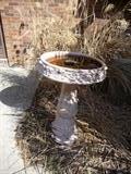 Bird Bath