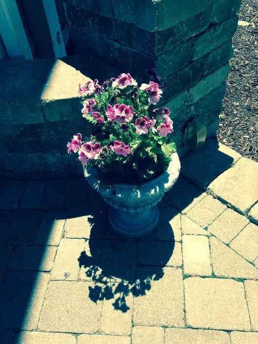 cement planter with flowers