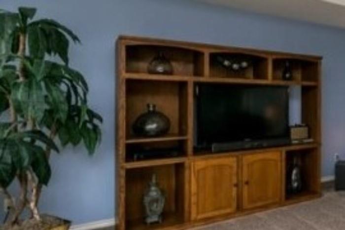 Entertainment Center, Silk Tree Plant, (note items in Entertainment Center not for Sale)