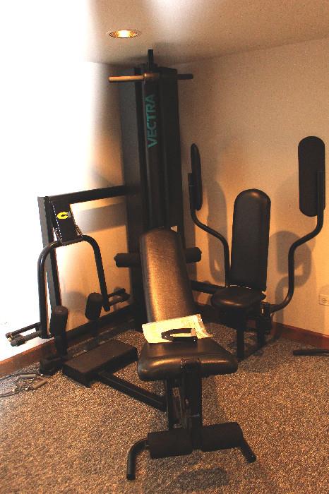 Vectra home gym.  This is a marvelous all-in-one home gym.  