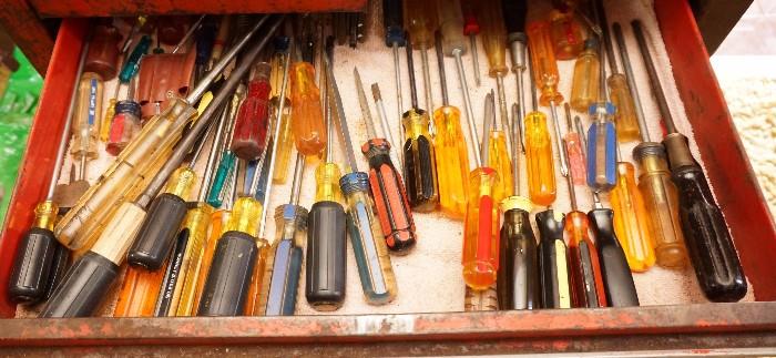 Plenty of screwdrivers