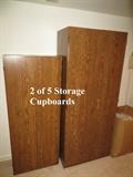 5 Nice Wood Grained Storage Cabinets / Cupboards