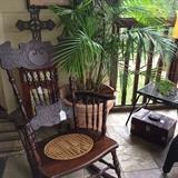    Exceptional antique rocker; large live palm