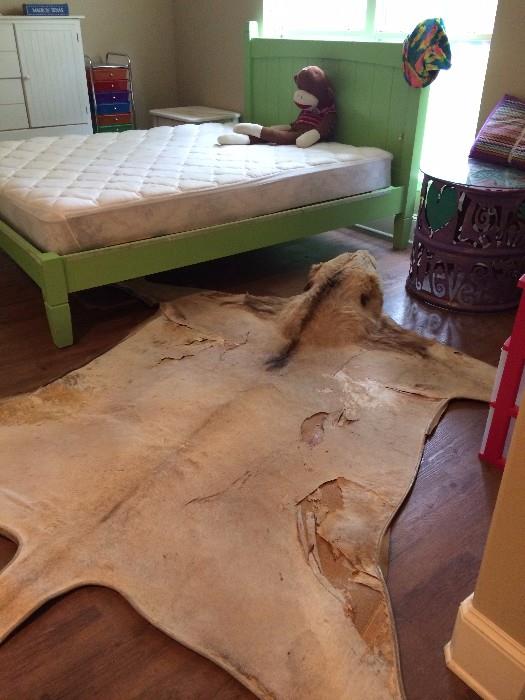    Lime-colored full bed; lion skin rug
