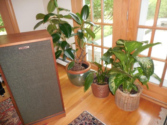 pair of Klipsch speakers, tall size