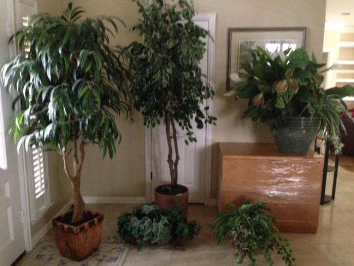 Artificial plants to decorate your home