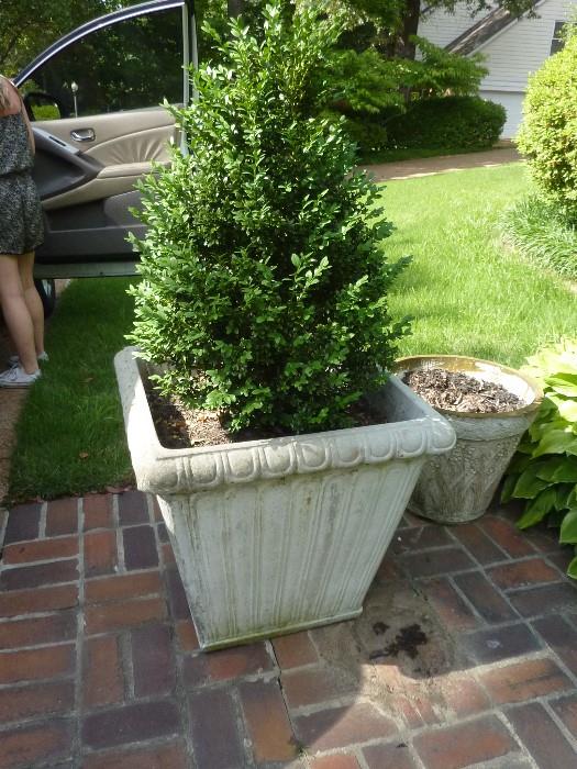 1 of a pair - large cement planters