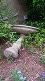 Bird Bath