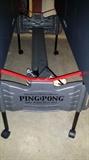 Ping Pong Table