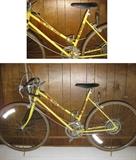 10 SPEED BIKE