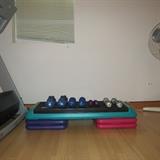 hand weights and step exerciser
