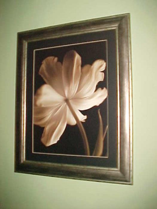 Large Print of Flower