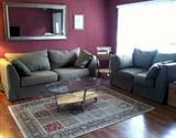 sage fabric sofa and love seat, area rug
