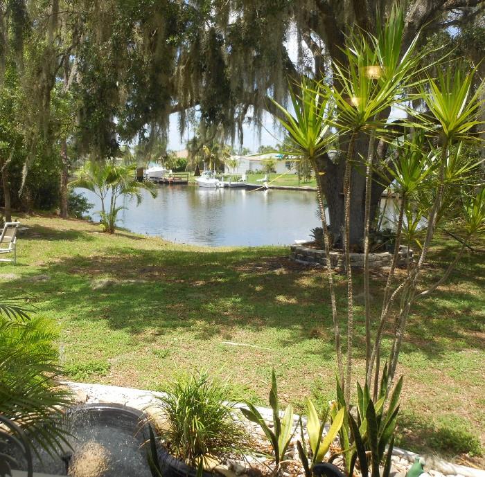 Backyard View of this Beautiful Waterfront Estate that is also for sale. The House sits on a large corner lot and has 2 sheds, (which were both full) Huge Oak Tree with Old Spanish Moss and a Pond with a Fountain 