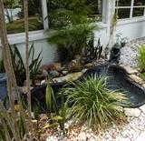 Pond with Fountain, Fisherman and Vintage Pump 