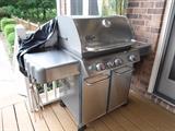 Weber Gas Grill