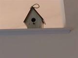 bird house