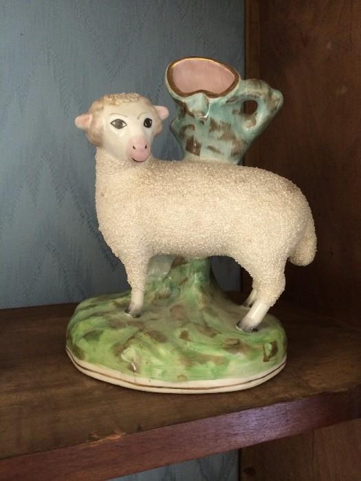         Staffordshire-like lamb