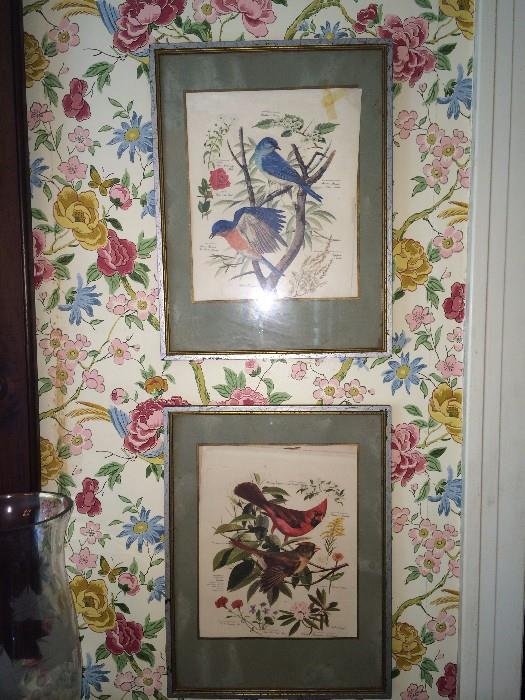          Audubon framed prints