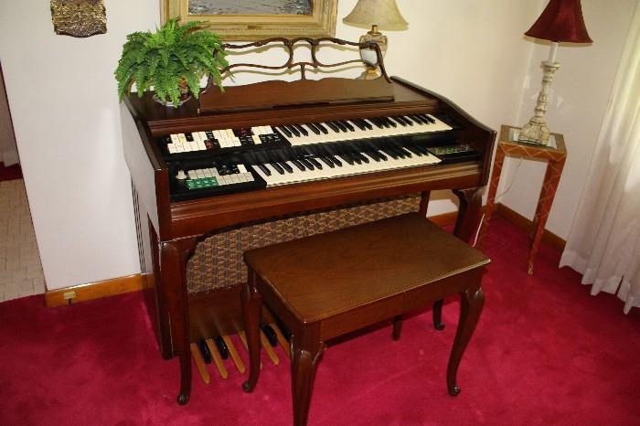 Beautiful Organ!!