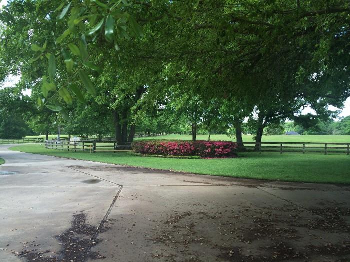 Immaculately landscaped grounds of the Jerry and Alice Murl estate