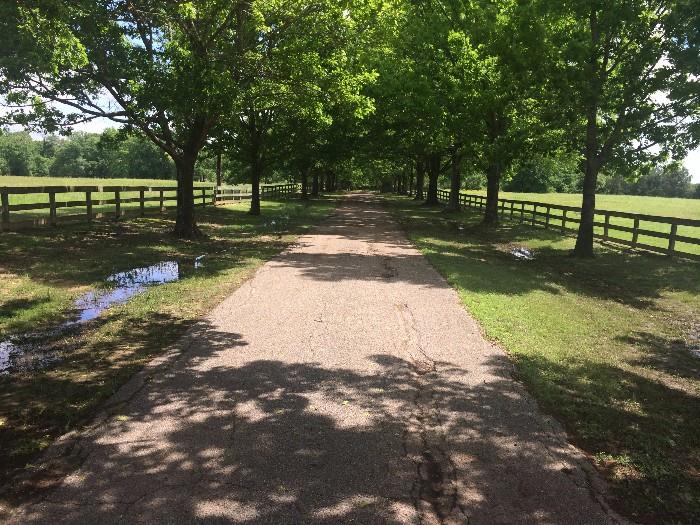 Happy trails!! We open at 7:00 AM Thursday, June 11. We hope to see you in Chandler!