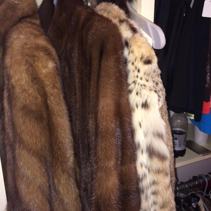          Other fur coats are available.