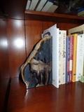2 of 2 Stone book ends